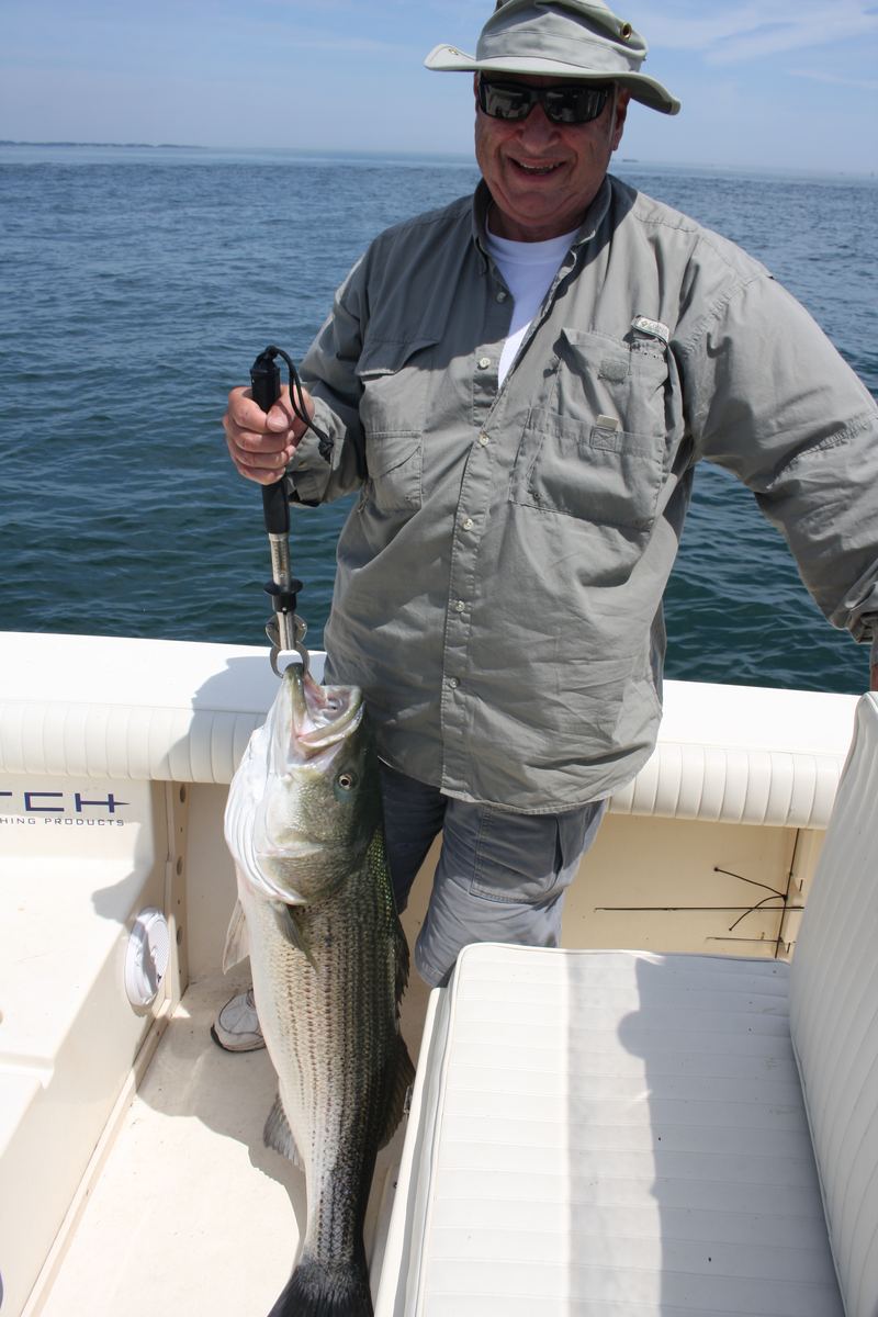 46" Striped Bass in Boston Harbor