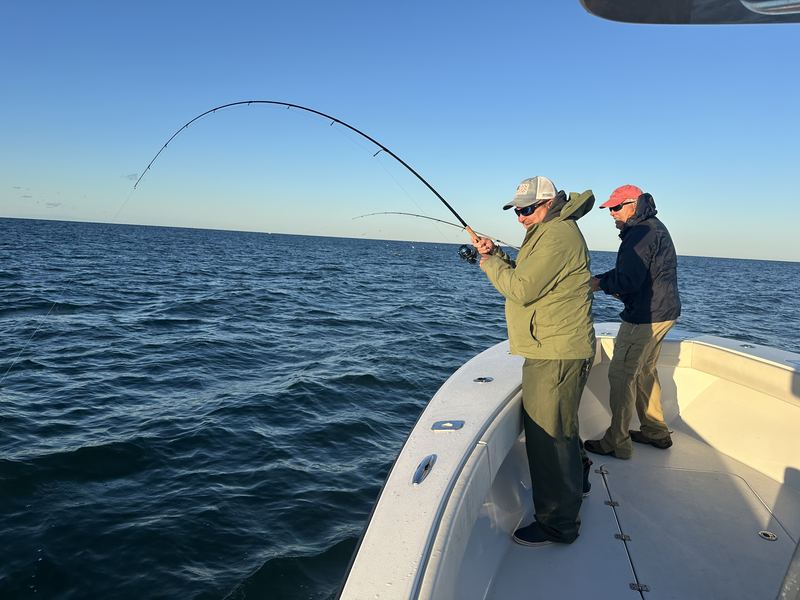 Angler fighting a false albacore off Cape Cod