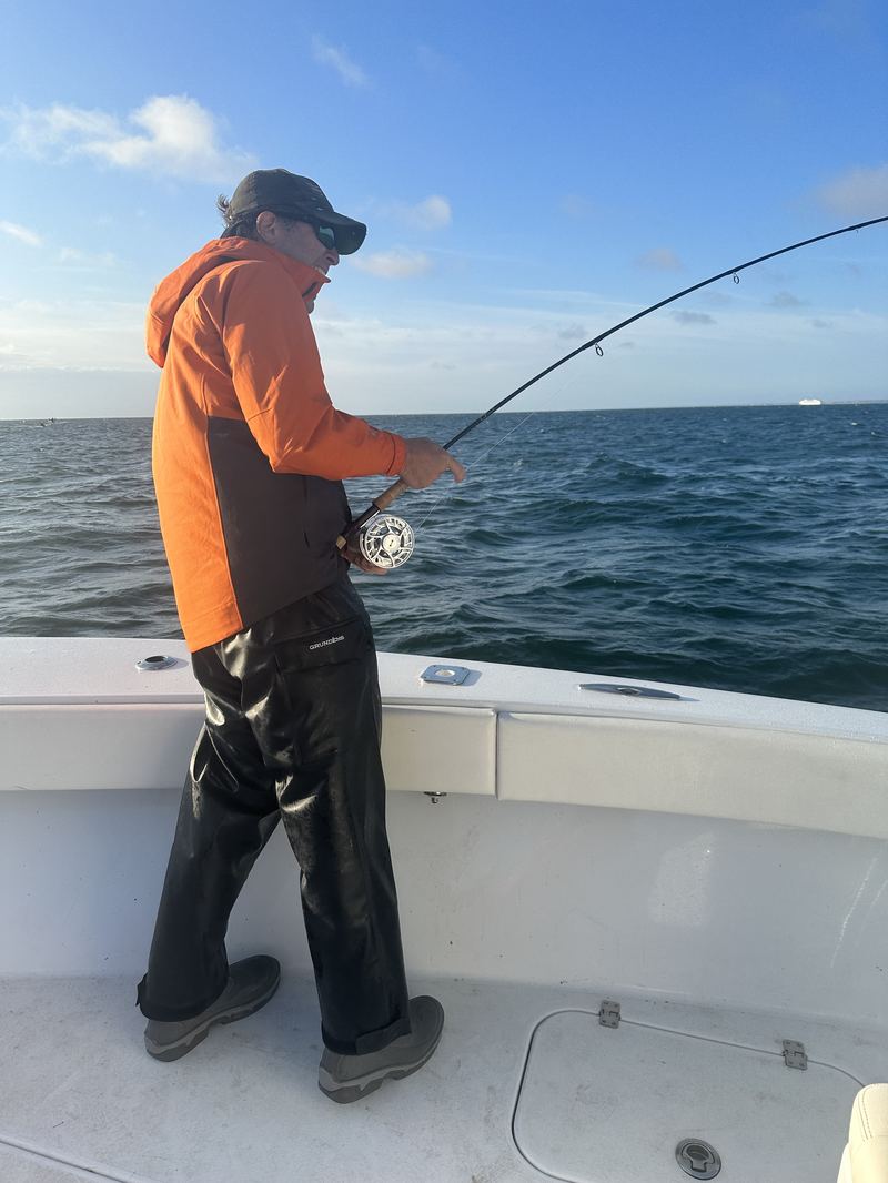 Angler fighting a false albacore on the fly off Cape Cod