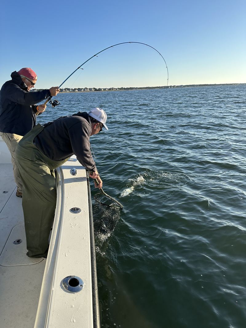 Angler fighting a fish on a Cape Cod charter