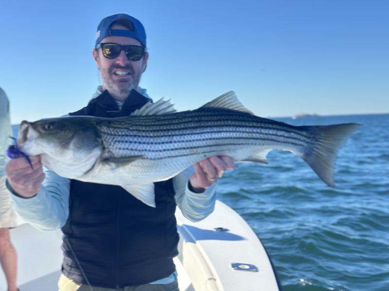 Angler holding a big striped bass caught in Boston Harbor