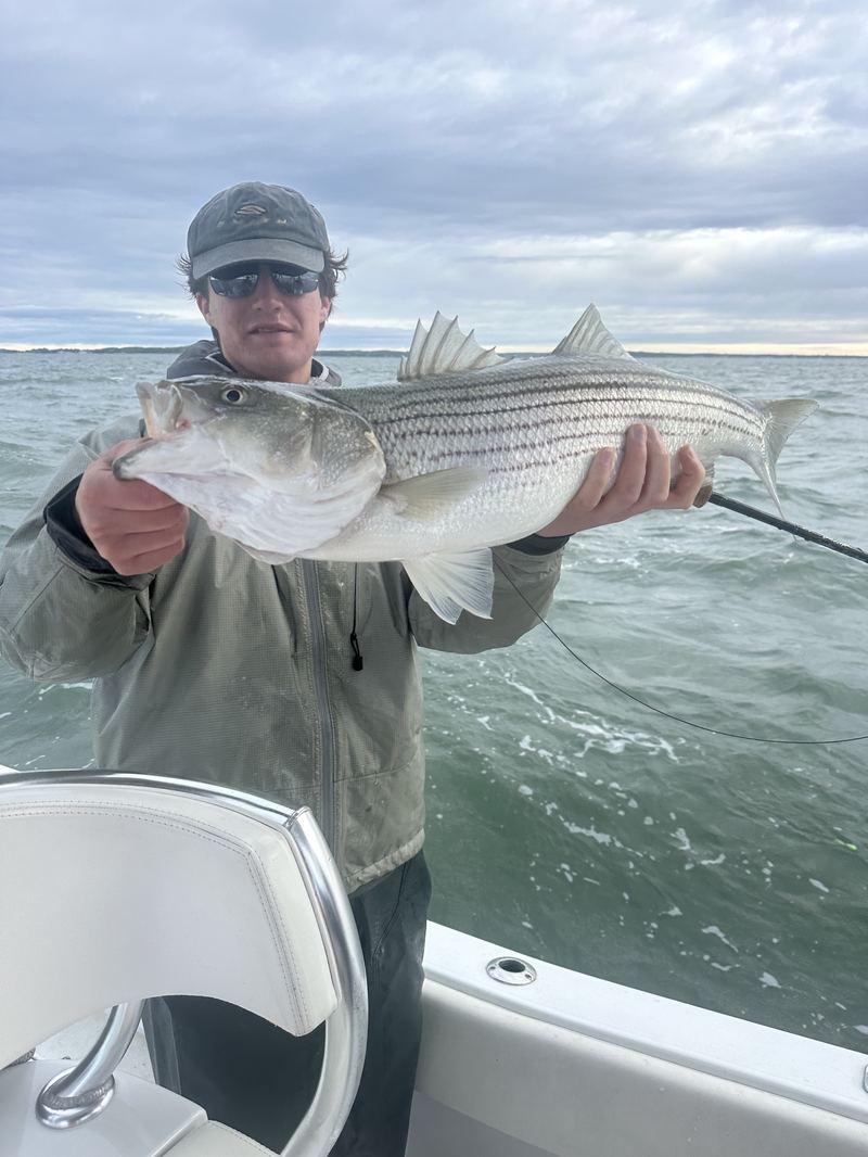 Angler holding a big striped bass with spray flying