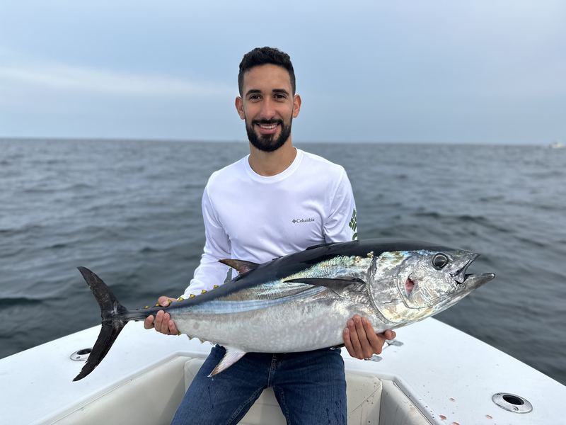 Angler holding a false albacore caught on light tackle
