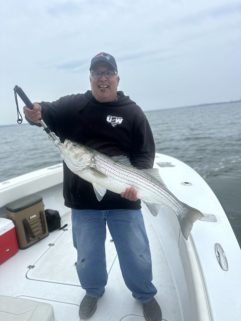 Angler holding a striped bass boatside in Boston Harbor