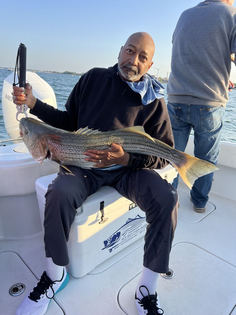 Angler holding a striped bass by the leader