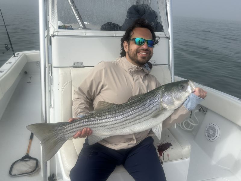 Angler holding a striped bass caught on light tackle