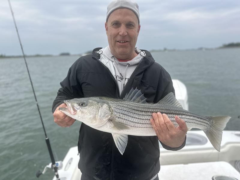 Angler holding a striped bass on a Boston fishing charter
