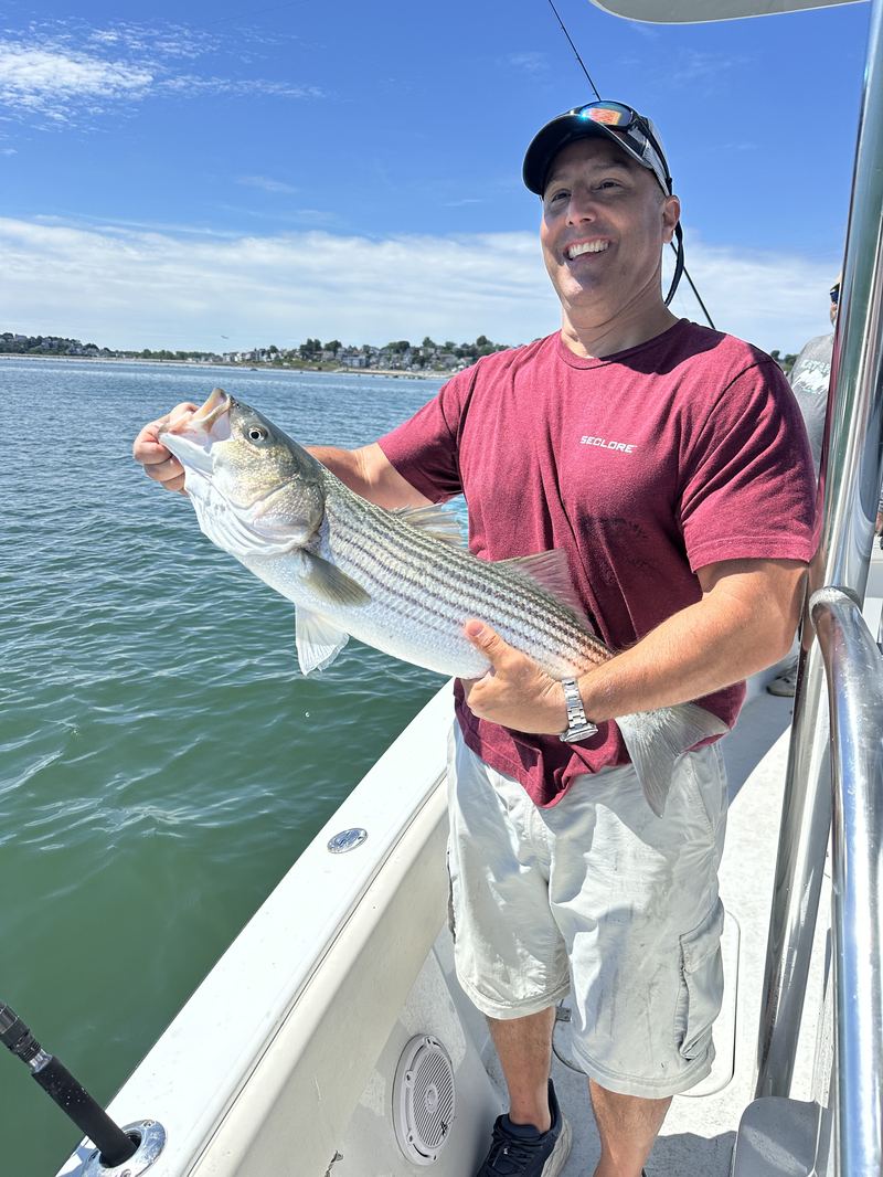 Angler holding a striped bass up with the Boston skyline behind