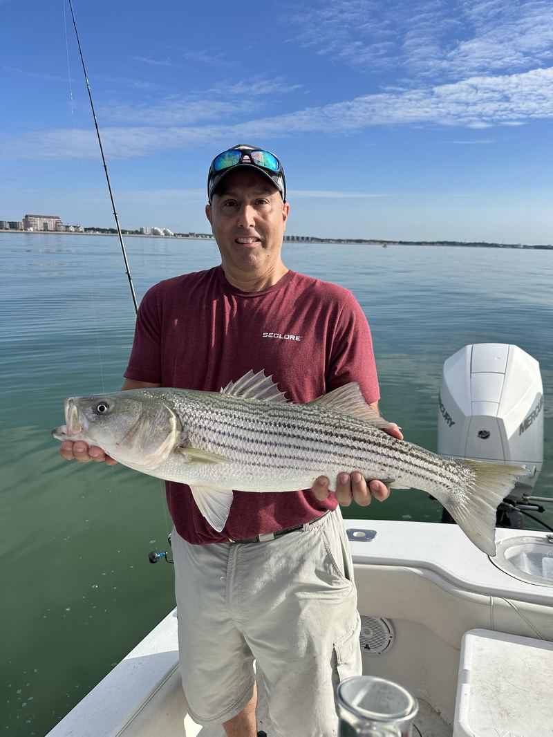 Angler holding a striped bass with the Boston skyline behind