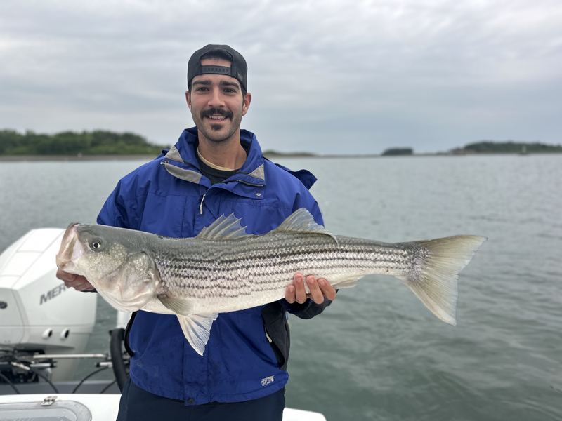 Angler in a blue jacket holding a striped bass