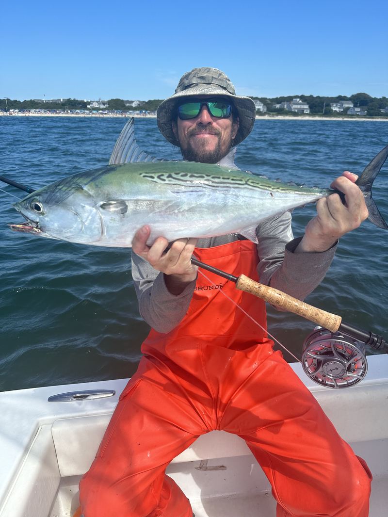 Angler in bibs with a big false albacore on the fly