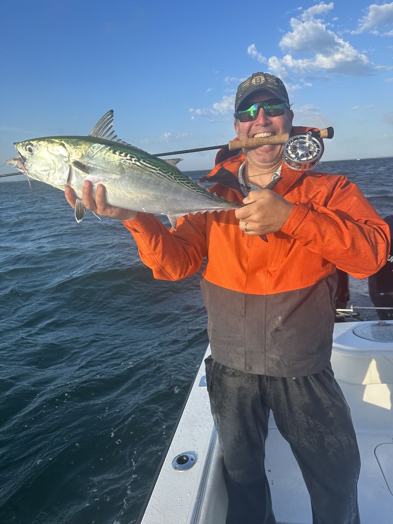 Angler in bibs with a false albacore caught on the fly
