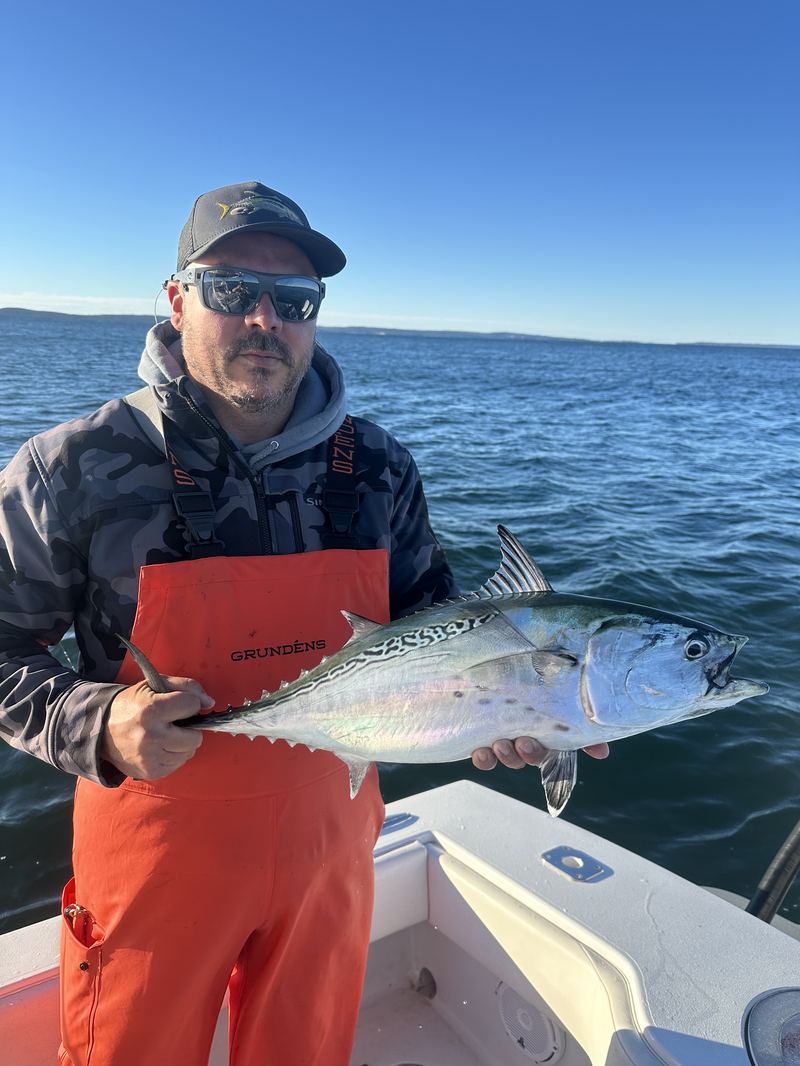 Angler in bibs with a false albacore off Cape Cod