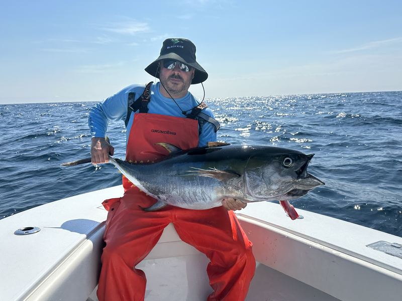 Angler in bibs with a false albacore on a Cape Cod charter