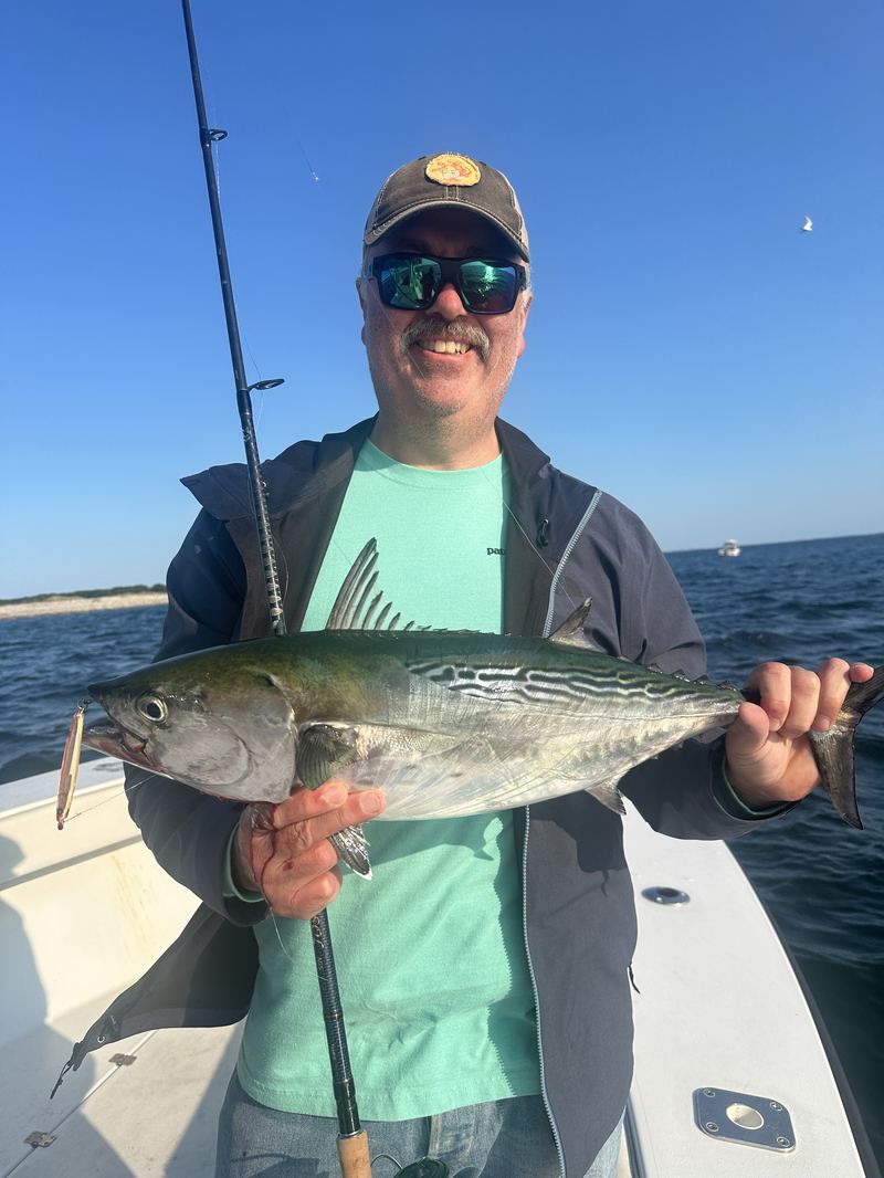 Angler with a big false albacore off Cape Cod