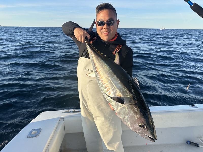 Angler with a big false albacore off Cape Cod