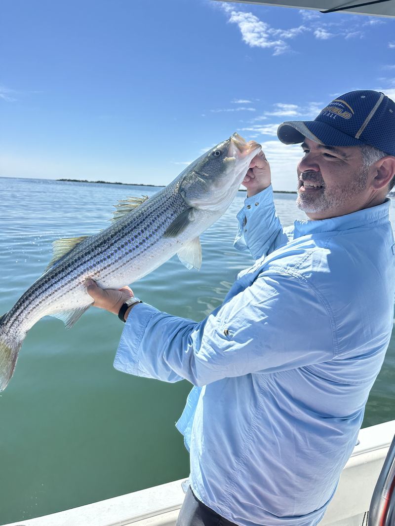 Angler with a big striped bass and the Boston skyline behind
