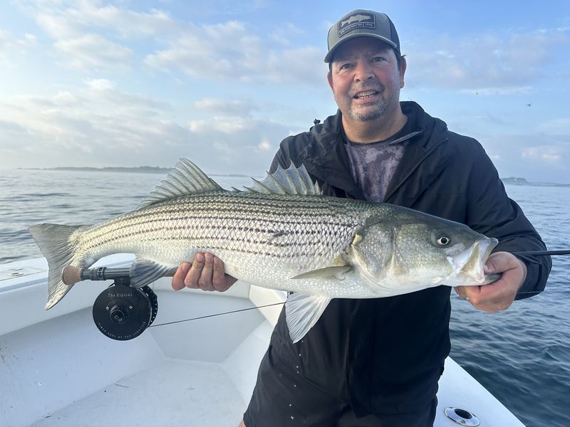 Angler with a big striped bass caught on the fly aboard the Conch 27