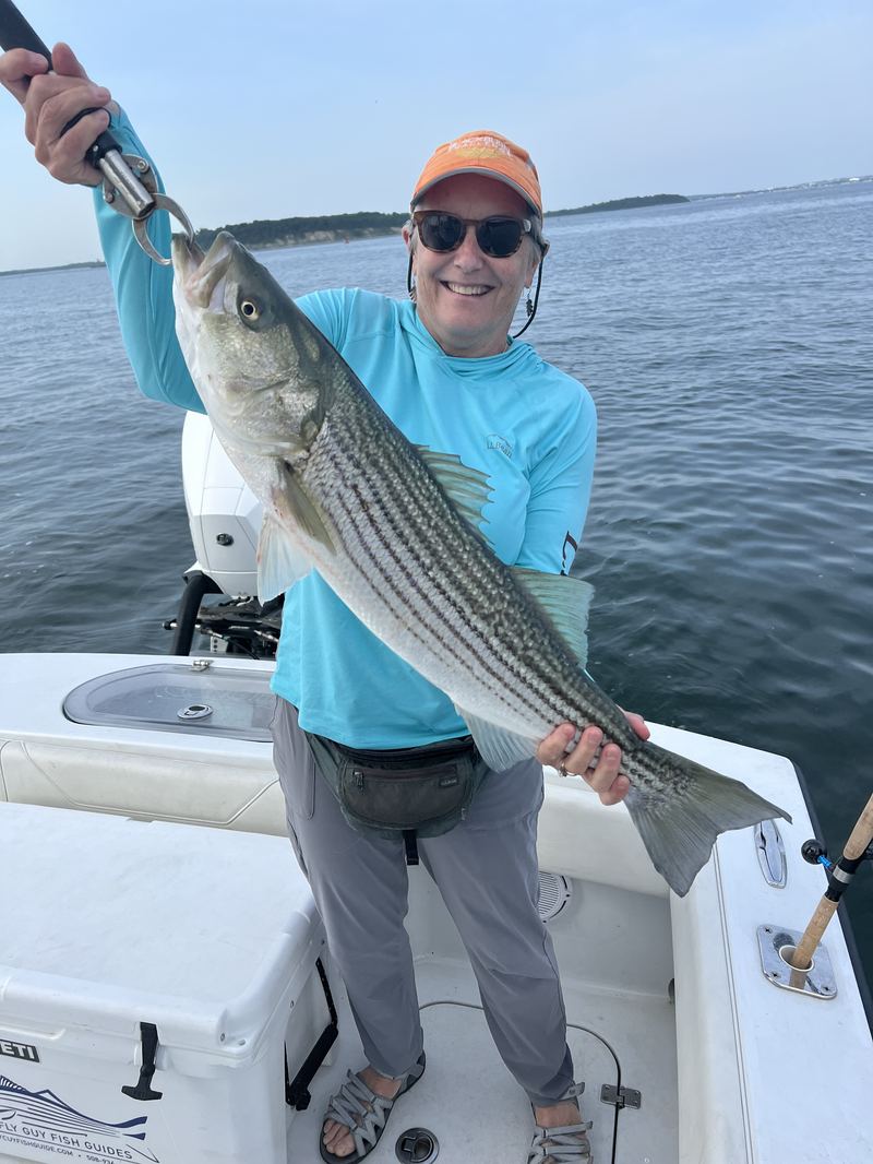 Angler with a big striped bass on a Boston Harbor charter