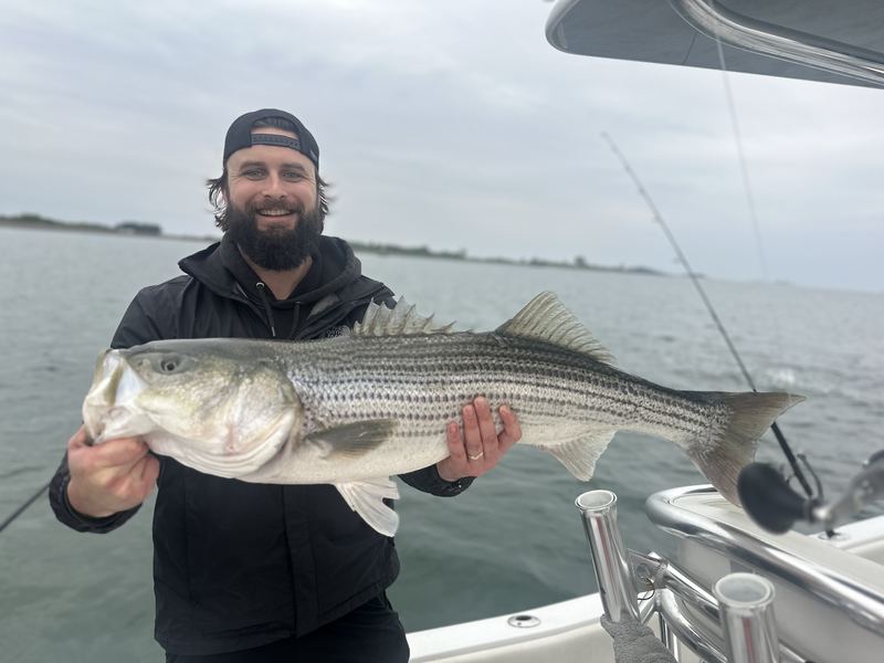 Angler with a big striped bass on a Boston Harbor charter