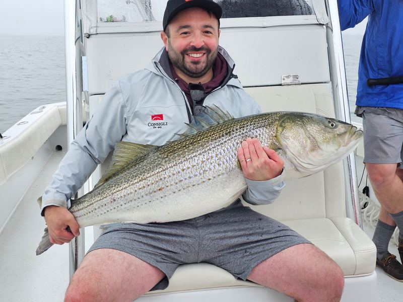 Angler with a big striped bass on a Boston Harbor fishing charter