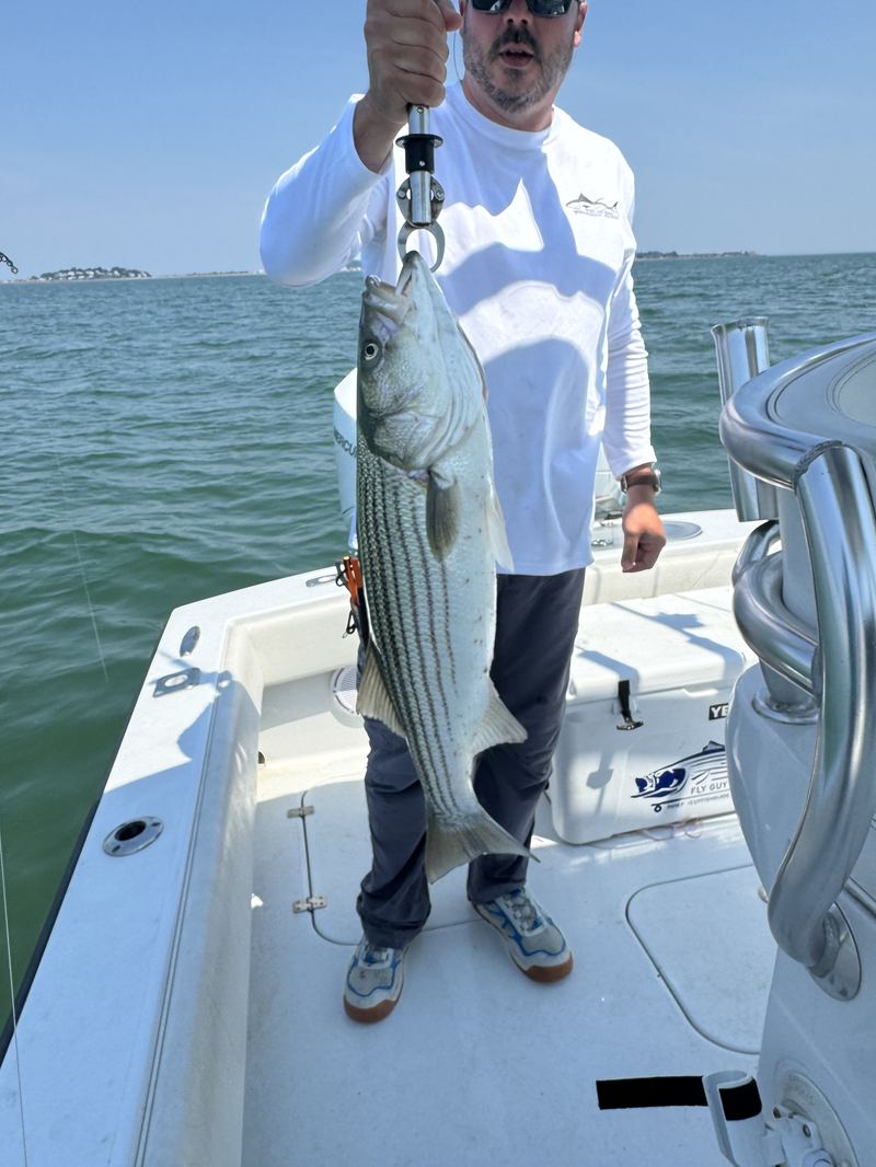 Angler with a big striped bass on the bow in Boston Harbor