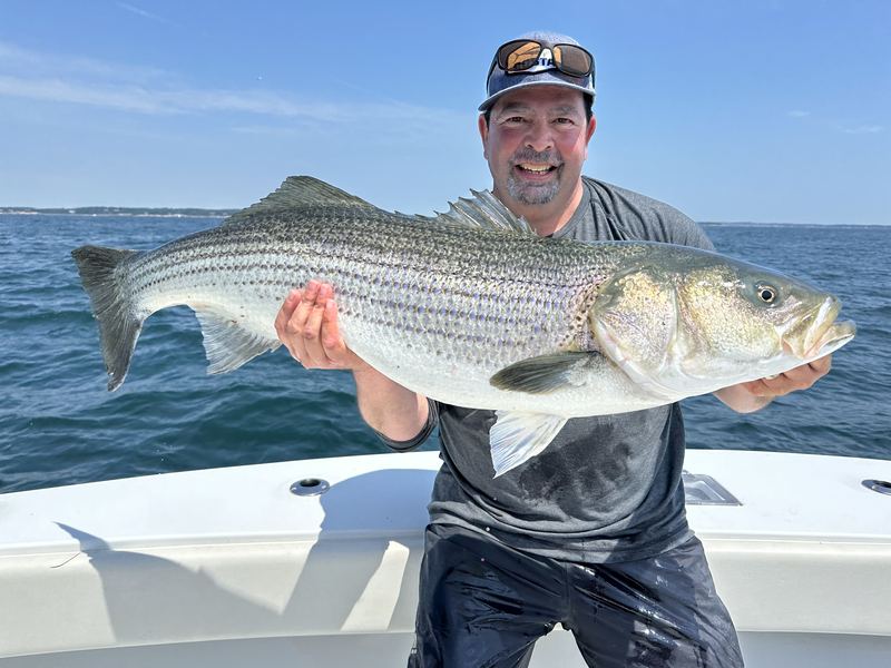 Angler with a big striped bass on the Conch 27 in Boston Harbor