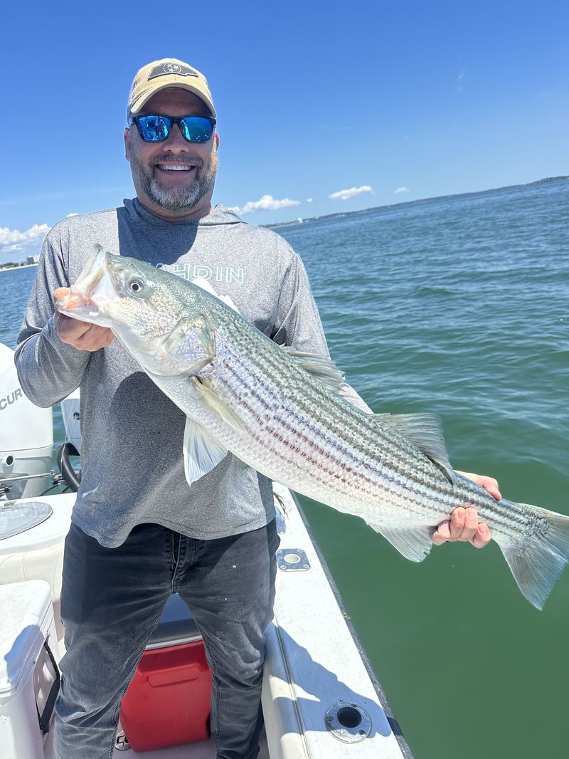 Angler with a big striped bass on the fly in Boston Harbor
