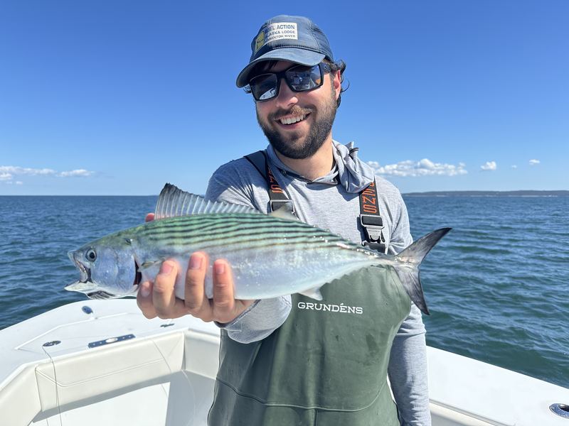 Angler with a bonito caught on the fall run
