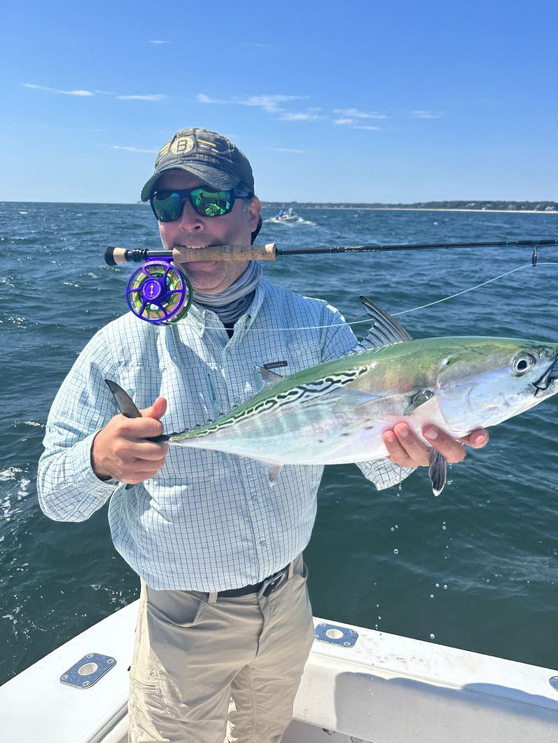 Angler with a bonito caught on the fly off Cape Cod