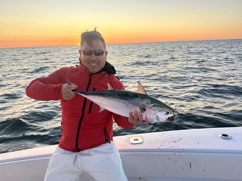 Angler with a false albacore at sunset off Cape Cod