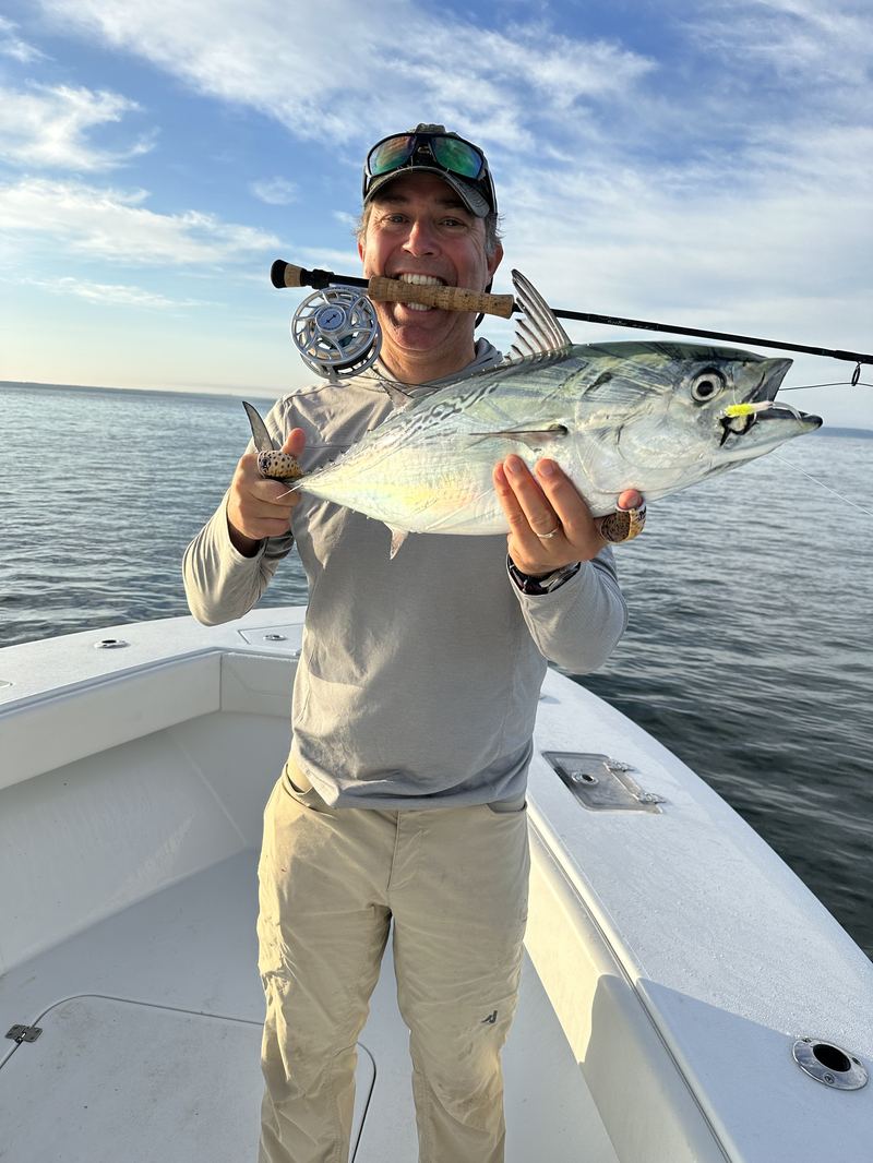 Angler with a false albacore caught on the fly