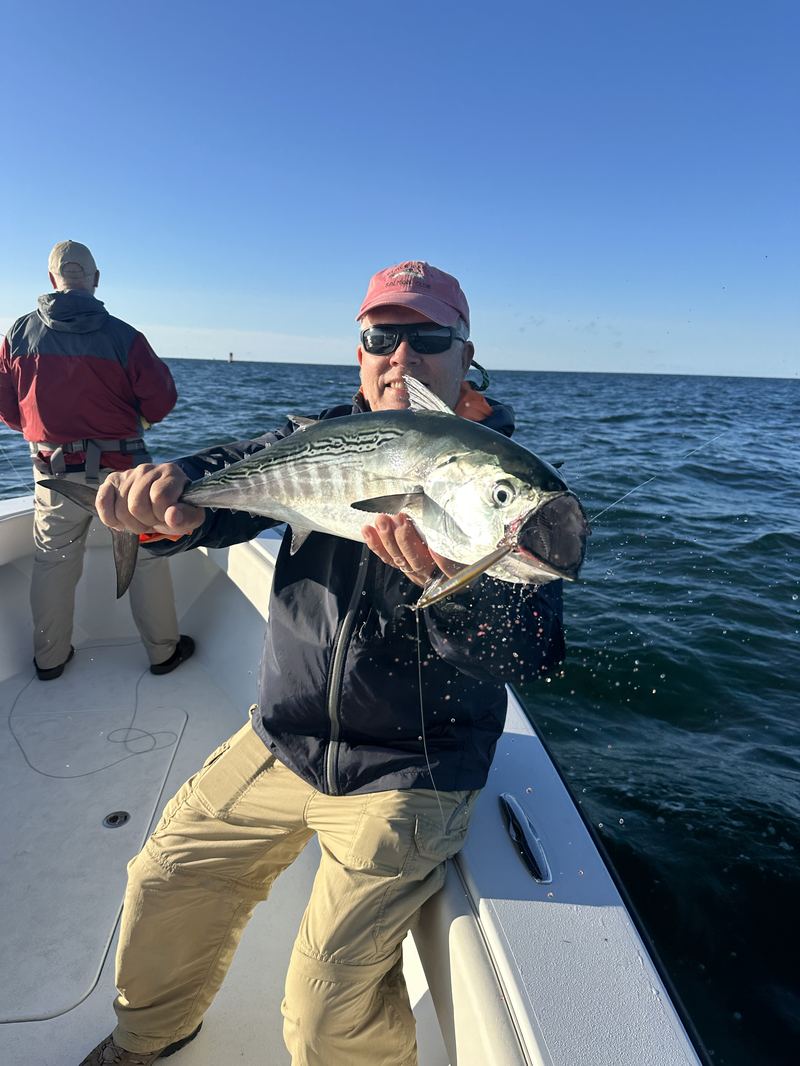 Angler with a false albacore on a Cape Cod charter