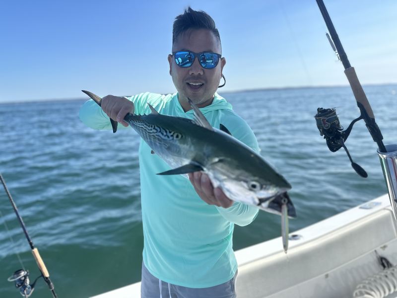 Angler with a false albacore on a Cape Cod charter