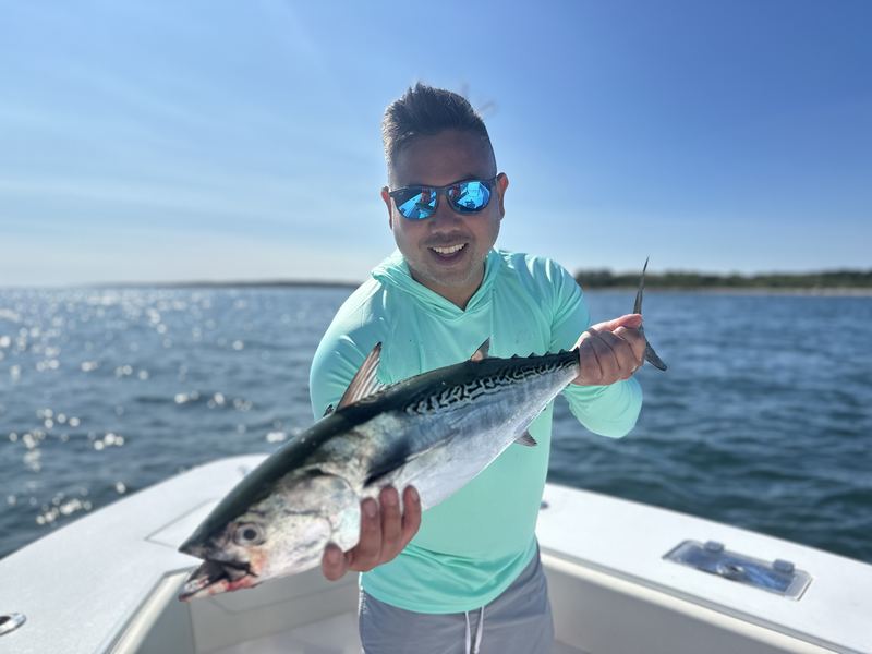 Angler with a false albacore on a Cape Cod charter