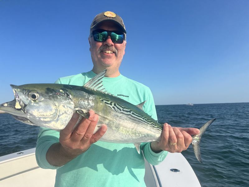 Angler with a false albacore on a Cape Cod charter