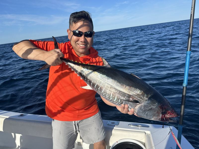Angler with a false albacore on a Cape Cod charter