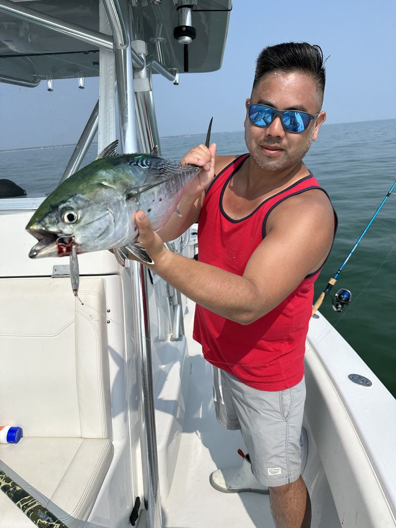 Angler with a false albacore on a Cape Cod charter