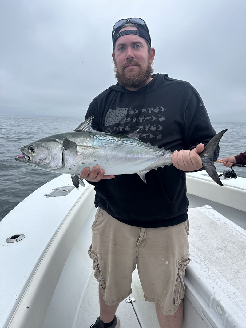 Angler with a false albacore on a Cape Cod charter
