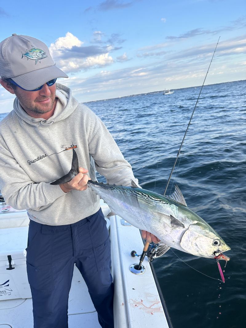 Angler with a false albacore on a Cape Cod charter