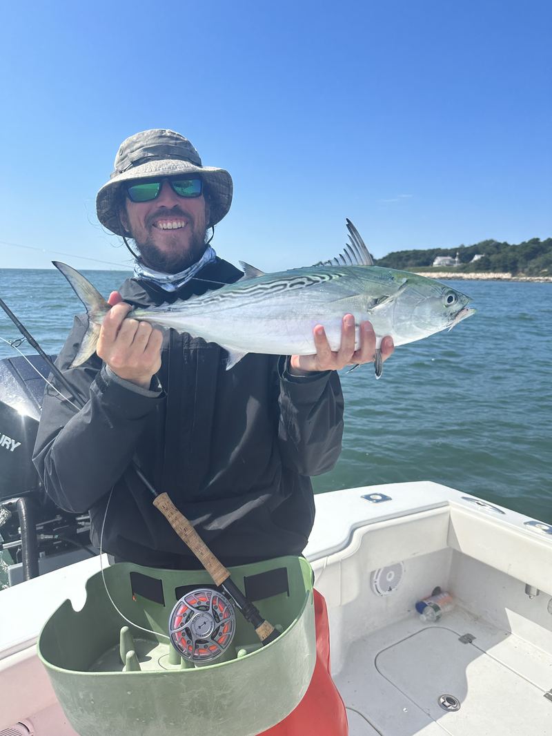 Angler with a false albacore on a Cape Cod charter