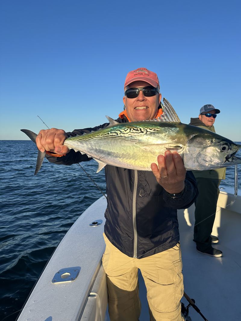 Angler with a false albacore on a Cape Cod charter
