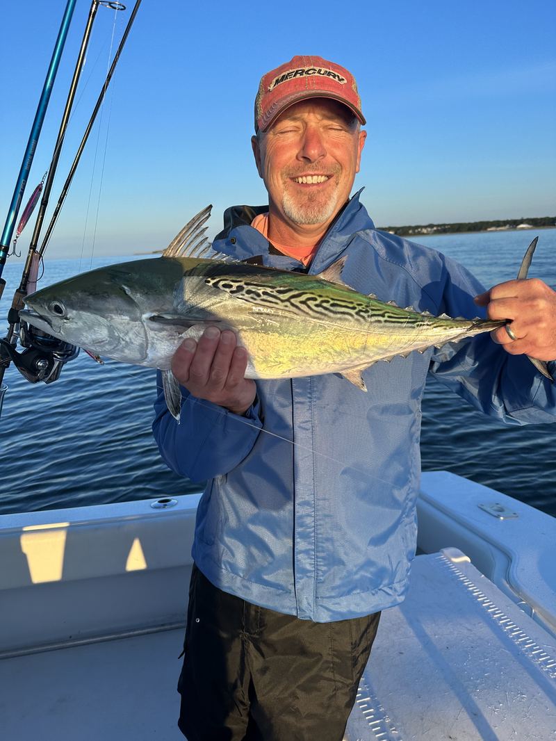Angler with a false albacore on a fall Cape Cod charter
