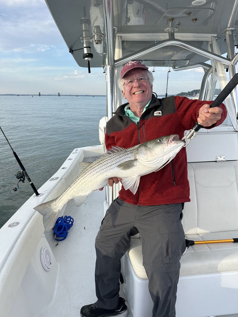 Angler with a striped bass and fly rod on a Boston Harbor charter