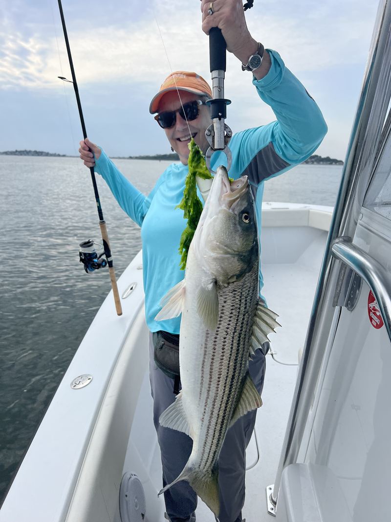 Angler with a striped bass and light-tackle rod in Boston Harbor