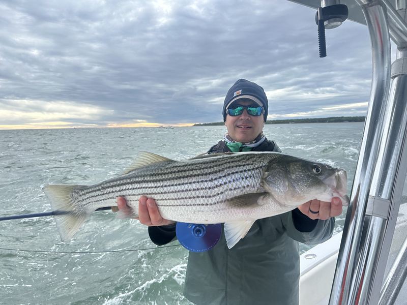 Angler with a striped bass caught in the rips