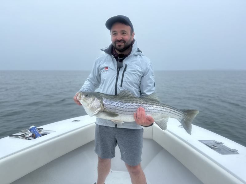 Angler with a striped bass on a Boston Harbor charter