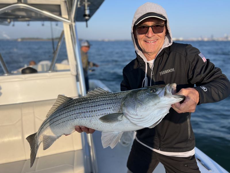 Angler with a striped bass on a Boston Harbor charter