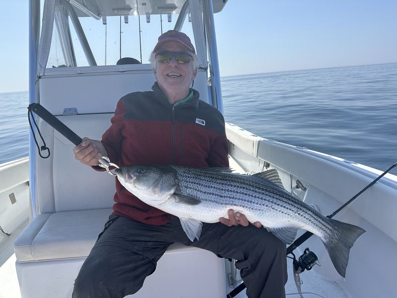 Angler with a striped bass on a Boston Harbor charter