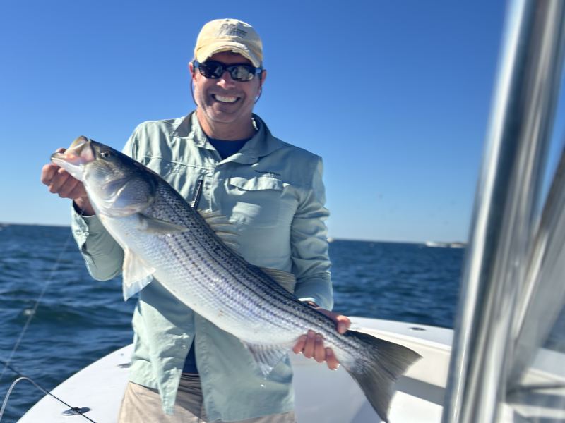 Angler with a striped bass on a Boston Harbor fly and light-tackle charter